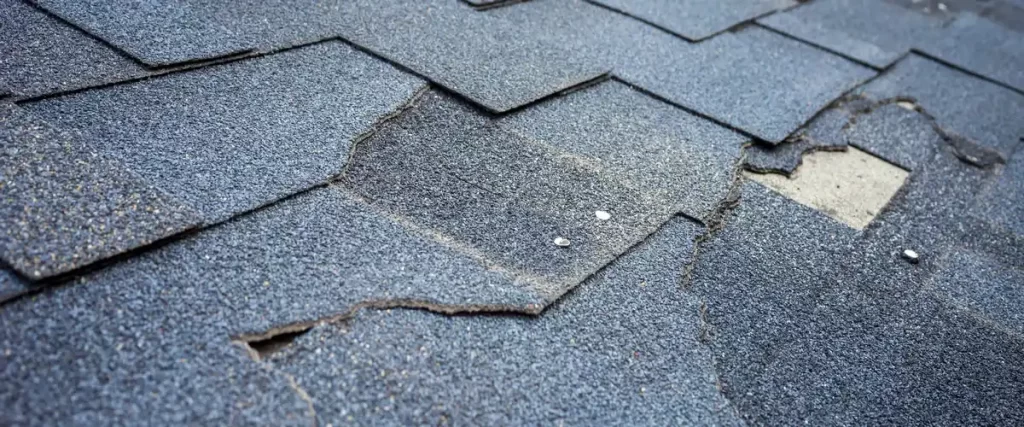 Close-up of asphalt shingles showing significant wind damage with torn and lifted edges.