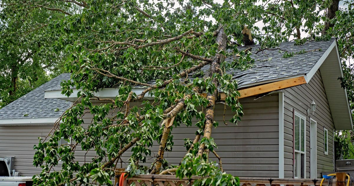 A homeowner reviewing documents while inspecting a damaged roof for a claim.