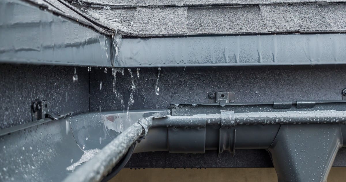 Emergency steps for what to do when roof leaks in rain to prevent water damage.