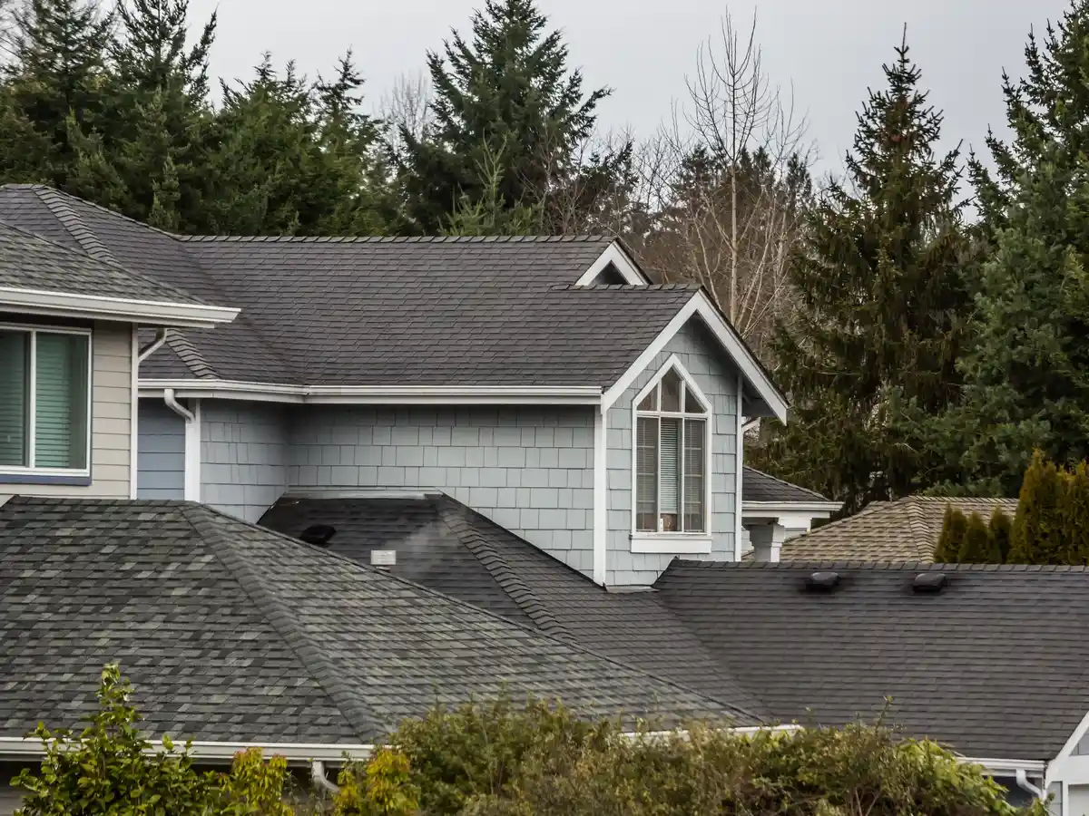 A complex, multi-level residential roof featuring dark grey architectural asphalt shingles on a light grey house, surrounded by tall green evergreen trees.
