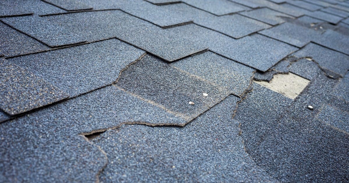 Close up view showing examples of common roofing problems, specifically severely cracked, warped, and lifting asphalt shingles on a residential home.