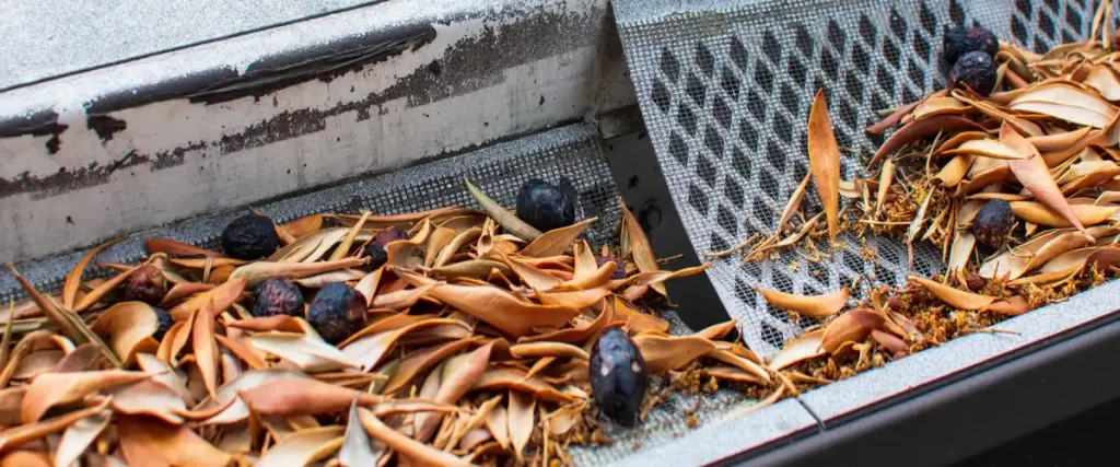 A close-up view of a metal roof drainage system showing clogged gutters completely filled with dry brown leaves, twigs, and small dark berries.