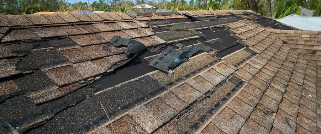 A severely damaged roof showing large sections of torn asphalt shingles and exposed black underlayment following high winds or a storm.