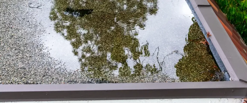 A large puddle of standing rainwater accumulating on a flat gravel surface, clearly showing flat roof ponding while reflecting the surrounding green trees.