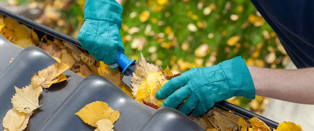 Professional gutter cleaning removing leaves and debris to improve rainwater drainage and gutter performance
