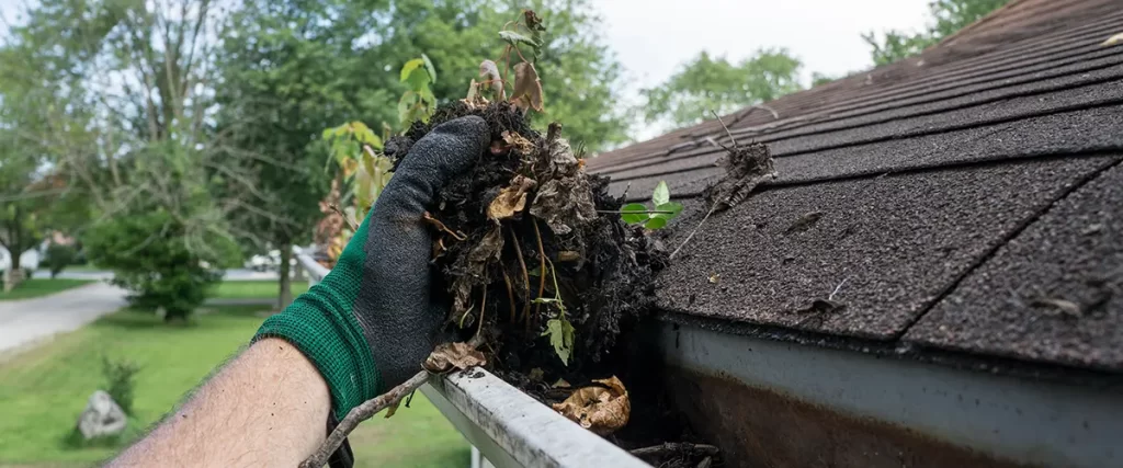 Technician removing leaves and debris during professional gutter cleaning to prevent clogged rain gutters